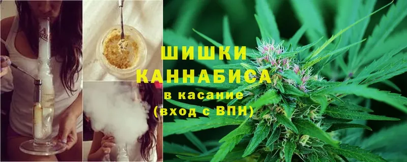 Бошки марихуана White Widow  Томмот 